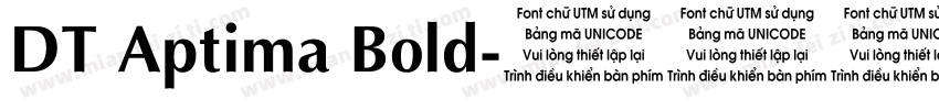 DT Aptima Bold字体转换